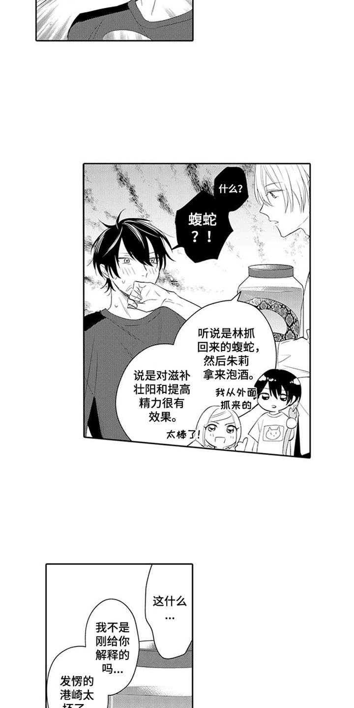 第13章：药酒