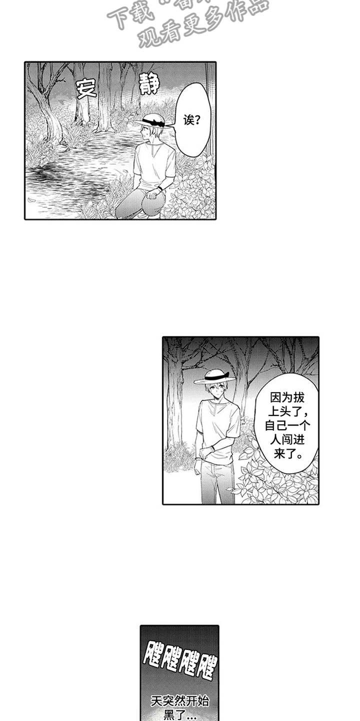 第9章：摔下悬崖