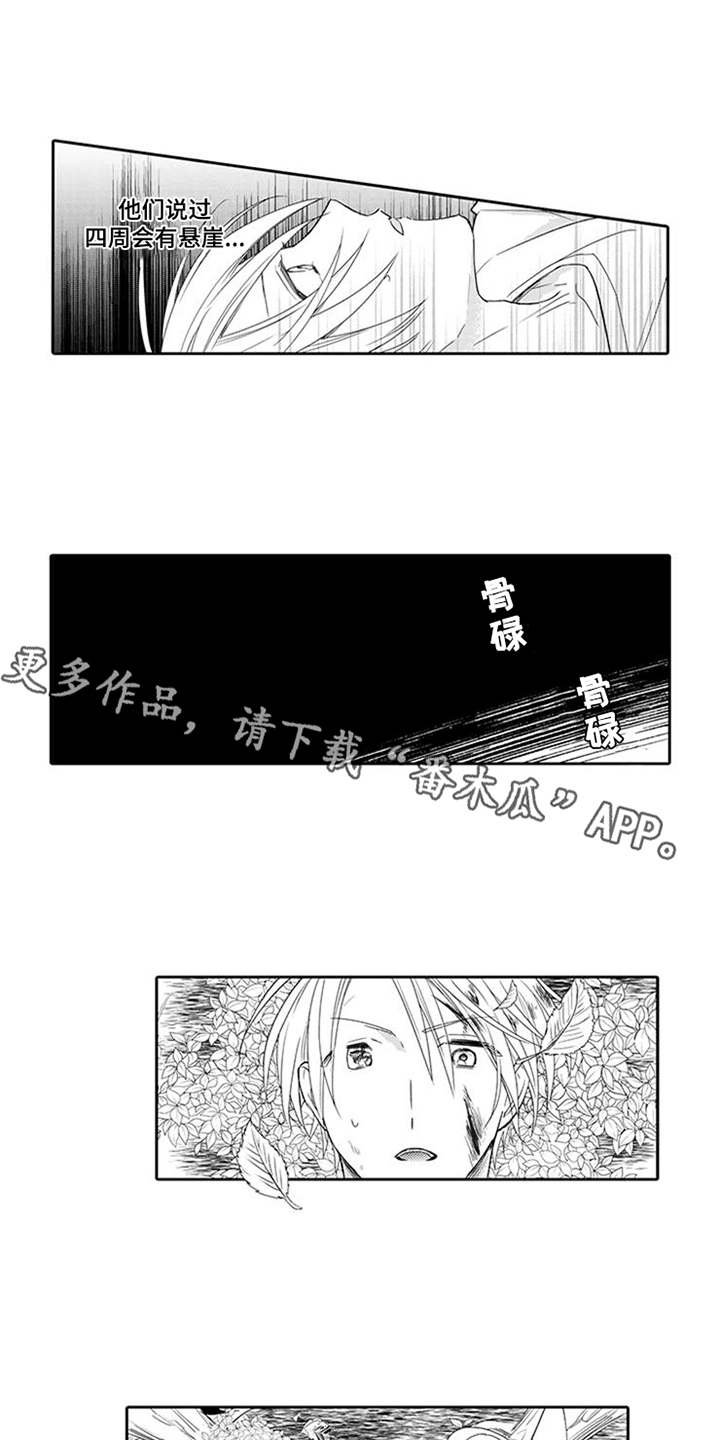 第9章：摔下悬崖