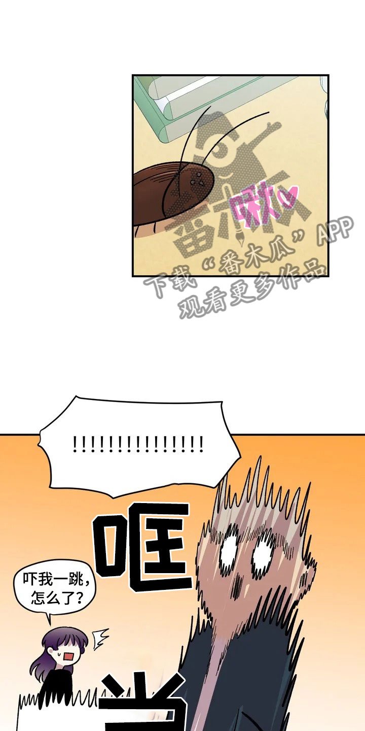 第17章：自由的生命体