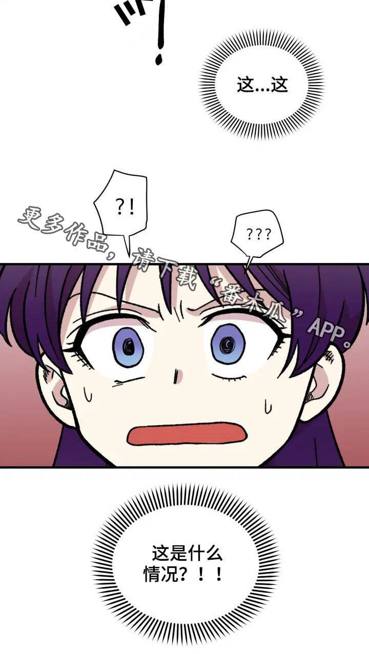 第37章：收留