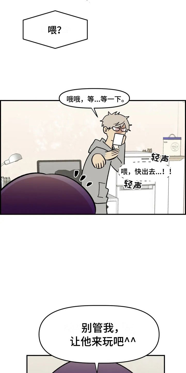 第4章：收留
