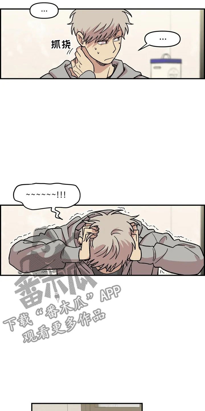第4章：收留