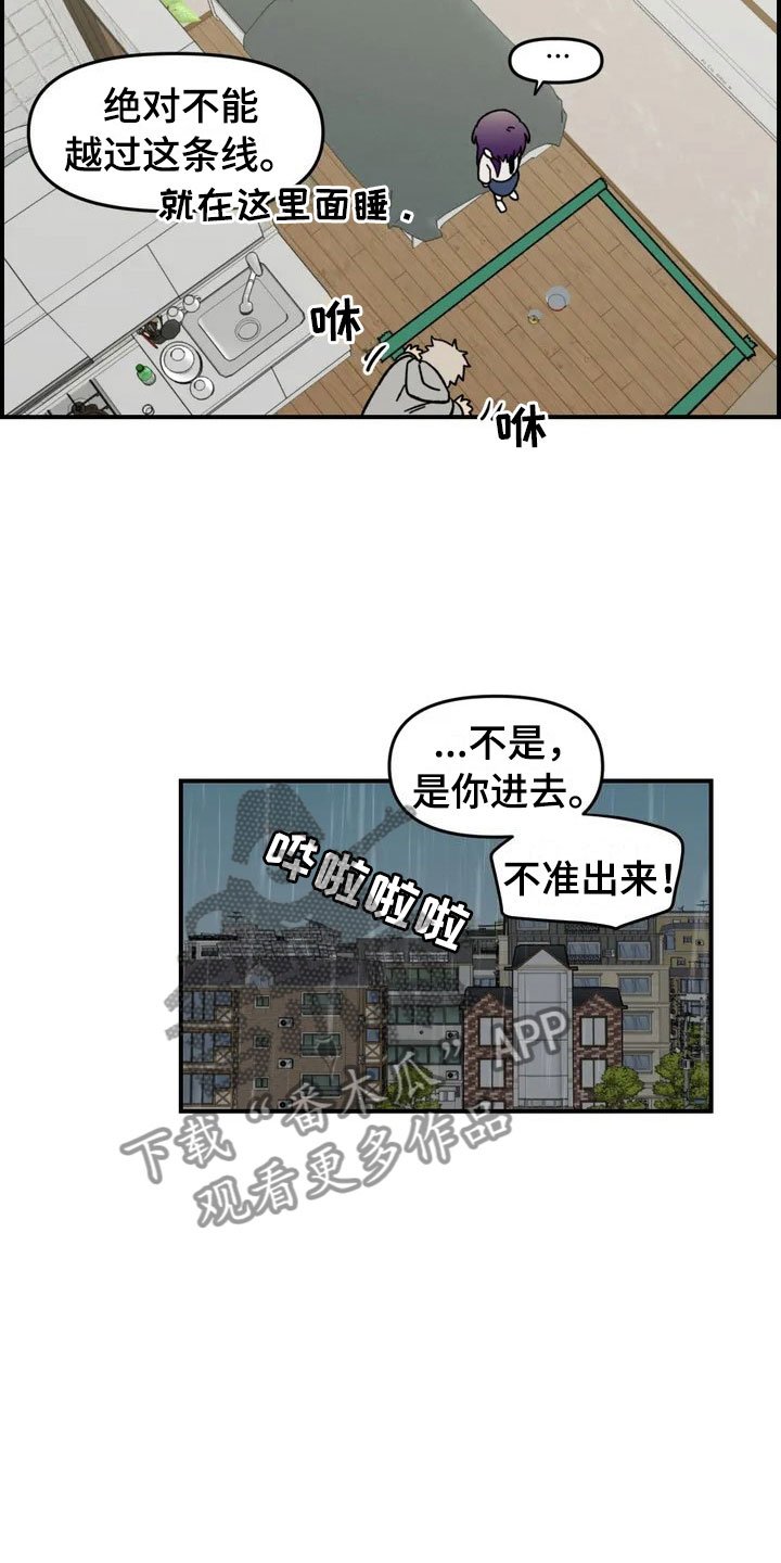 第4章：收留