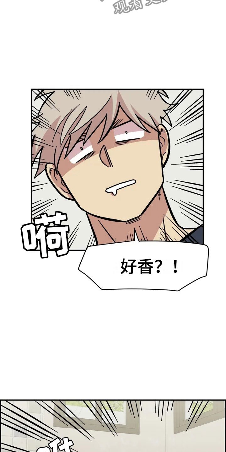 第4章：收留
