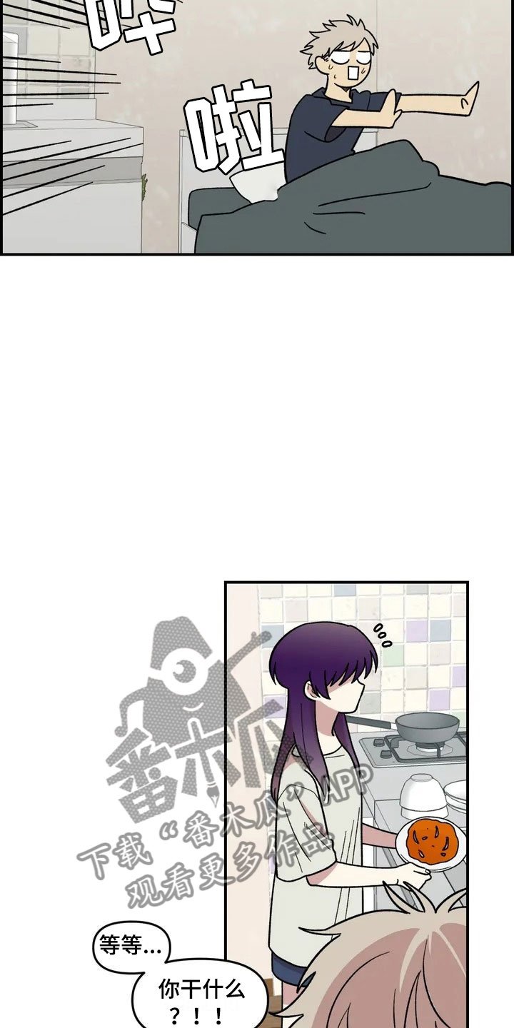 第4章：收留