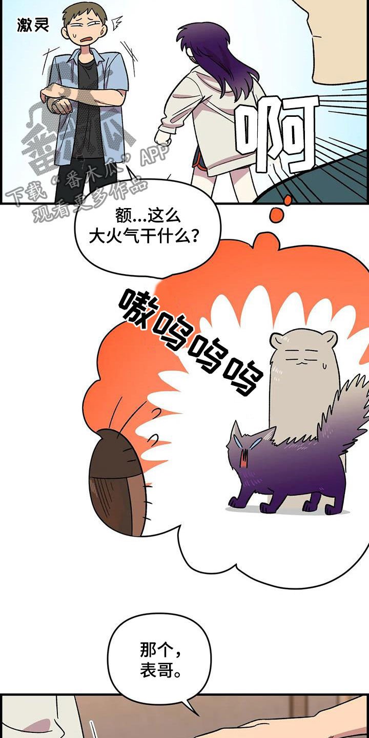 第75章：【第二季】实力碾压