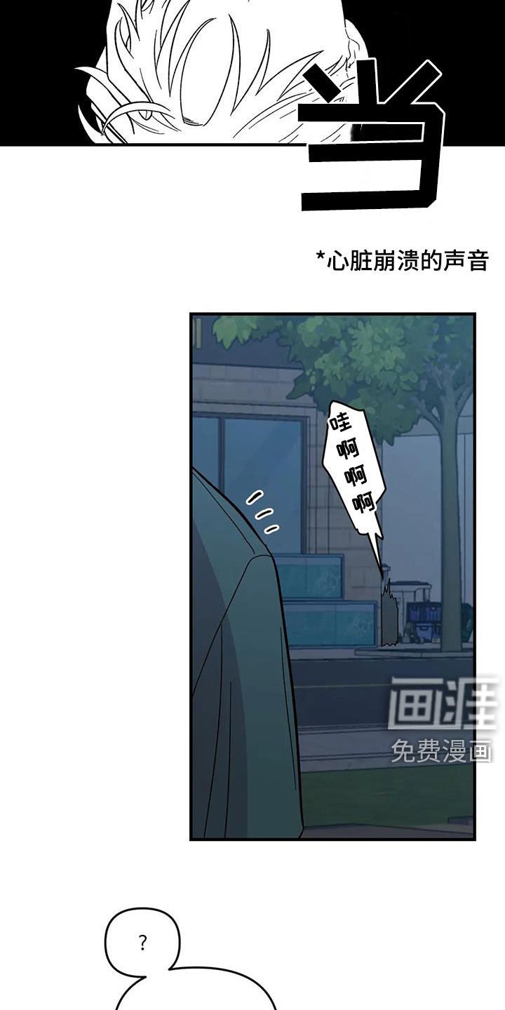 第86章：【第二季】陷入爱河
