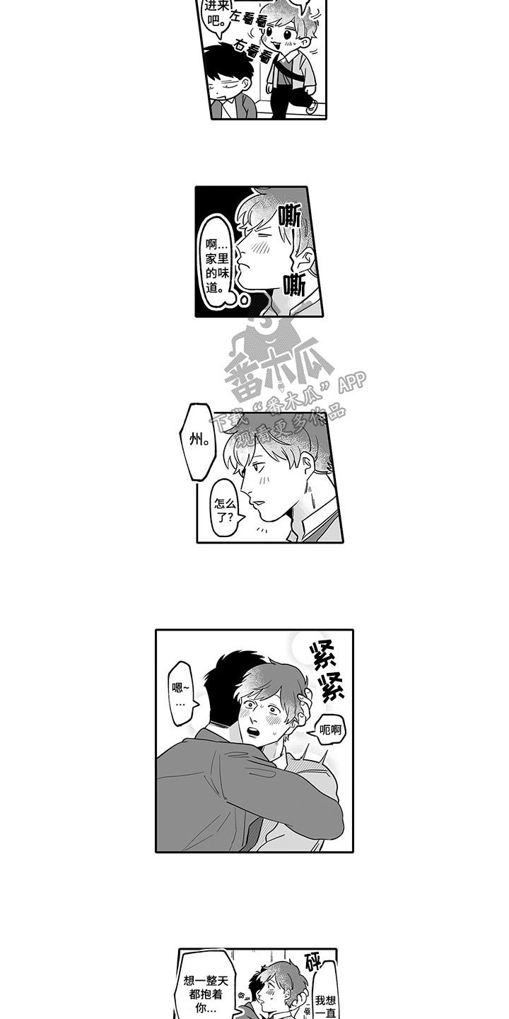 第13章：带回家