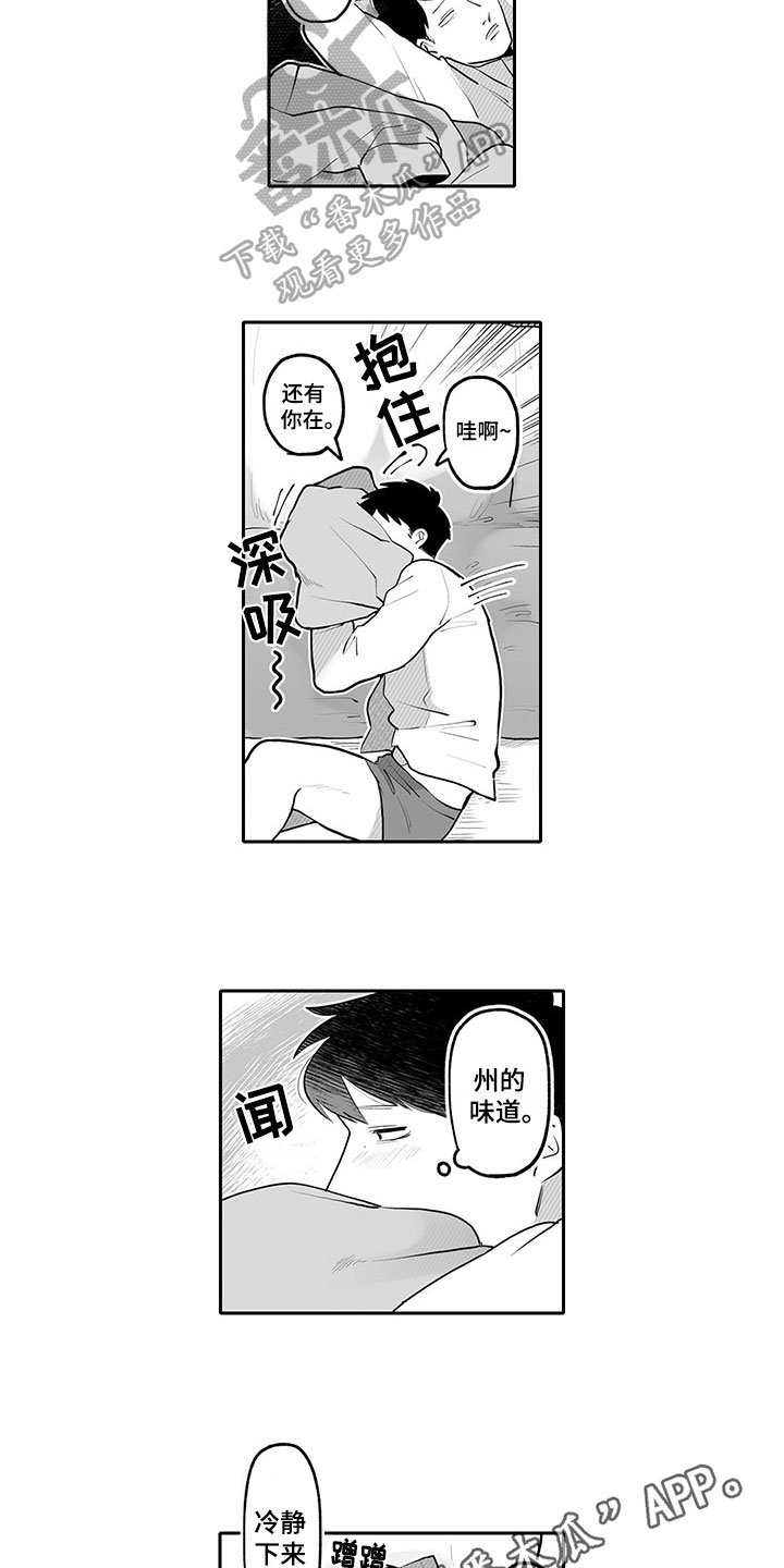 第17章：气味