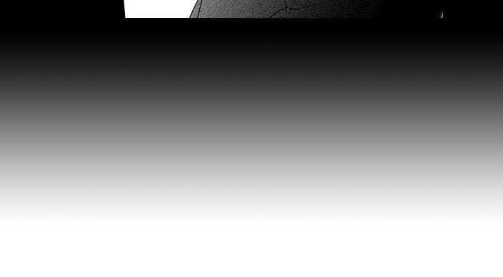 第20章：空壳