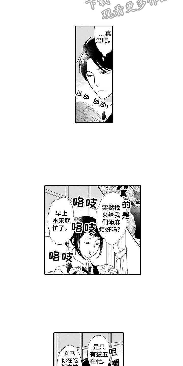 第6章：安慰
