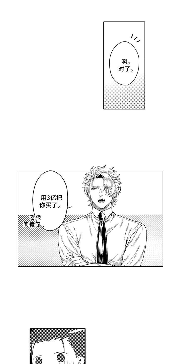 第4章：买下了