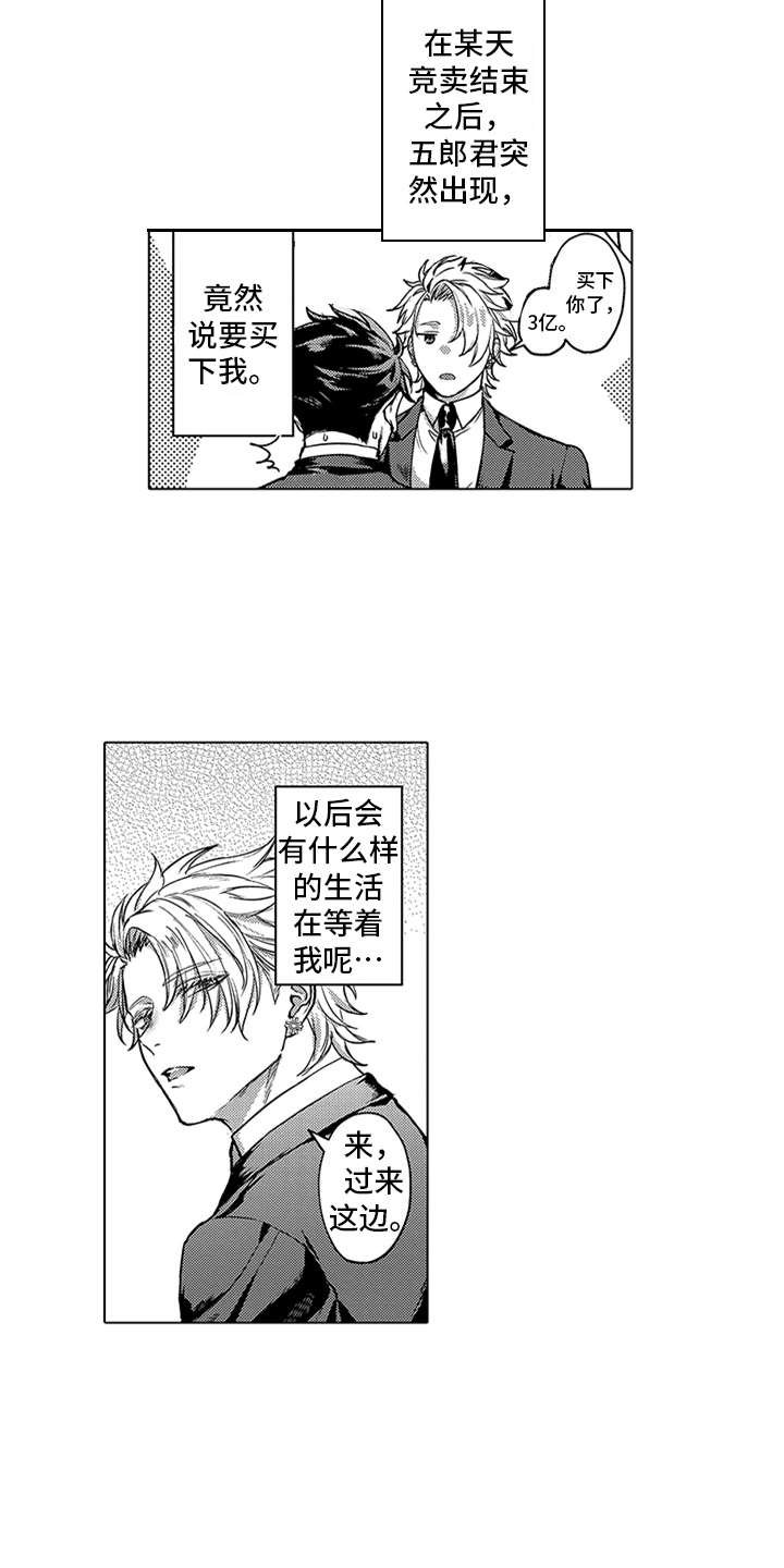第4章：买下了