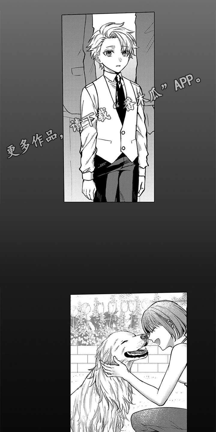 第5章：安心