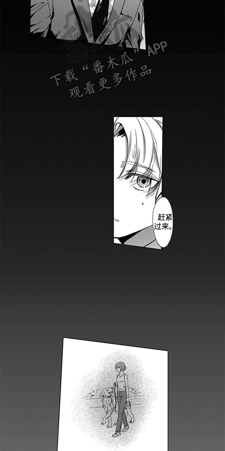 第5章：安心