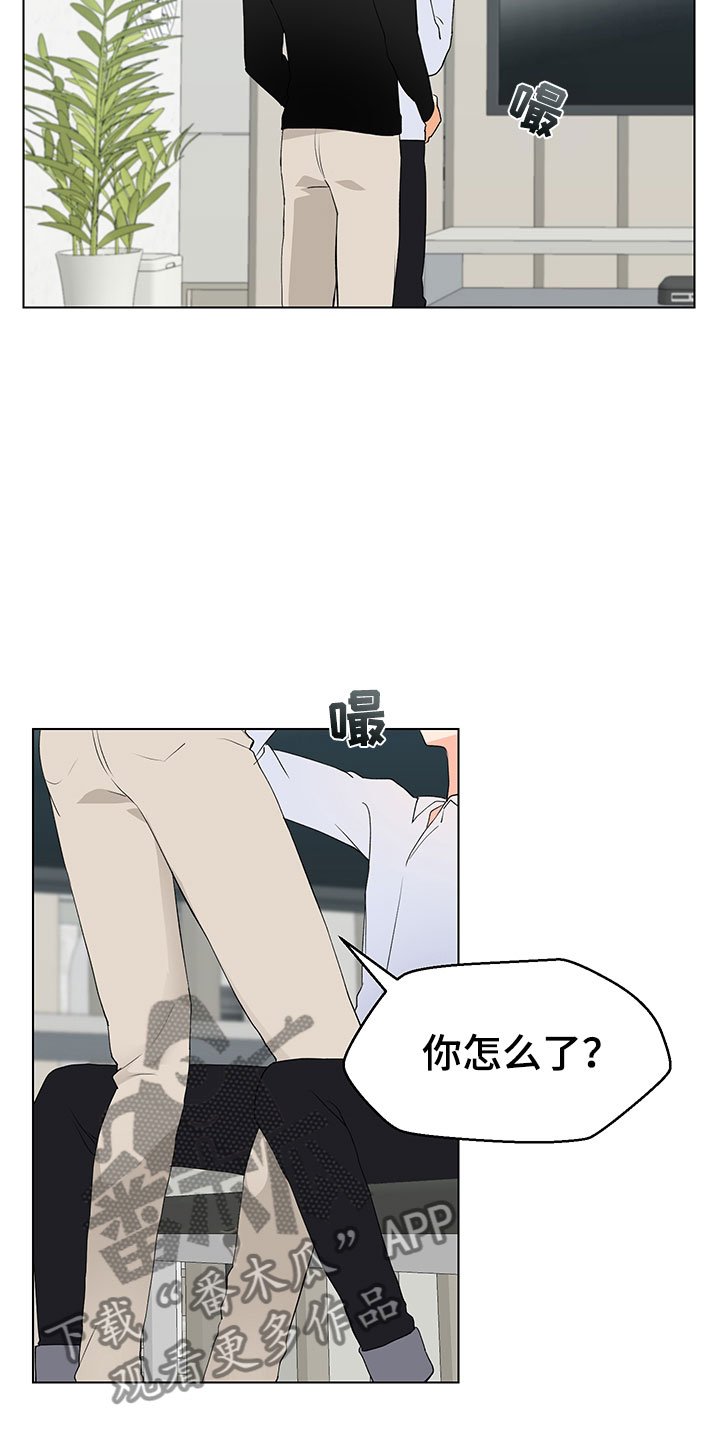 第13章：验证