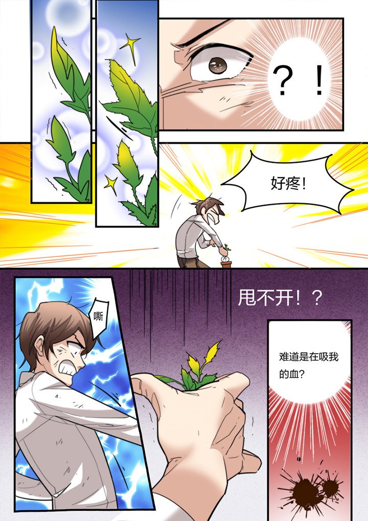 第7章：