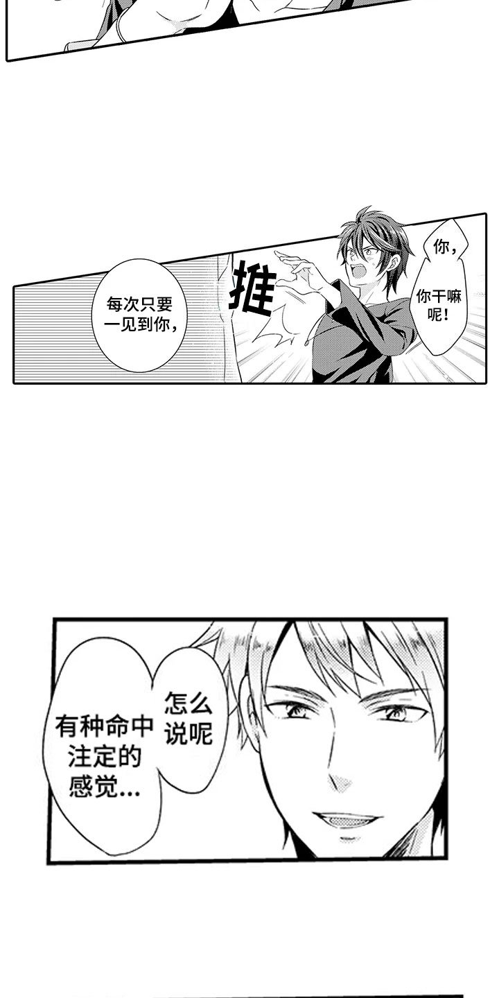 第2章：命运伴侣