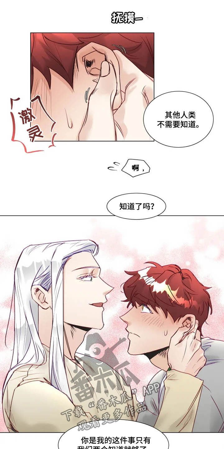 第10章：特别的存在