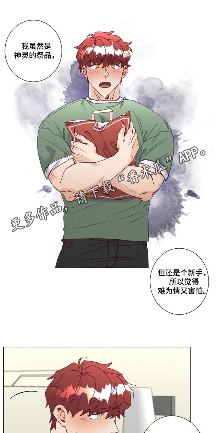 第14章：屈服