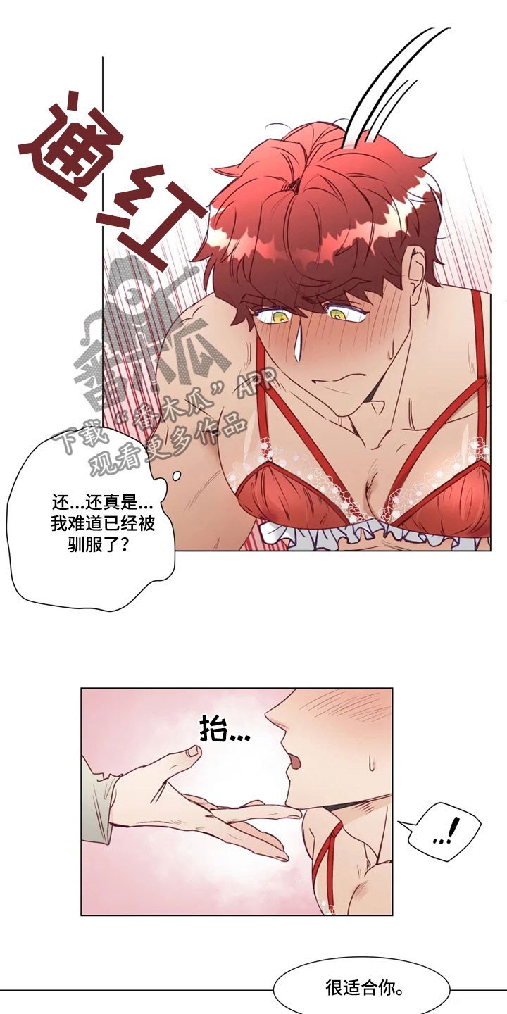 第14章：屈服
