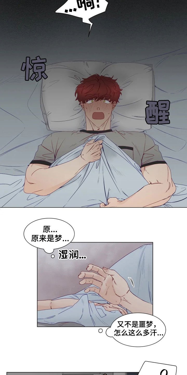 第17章：梦中惊醒