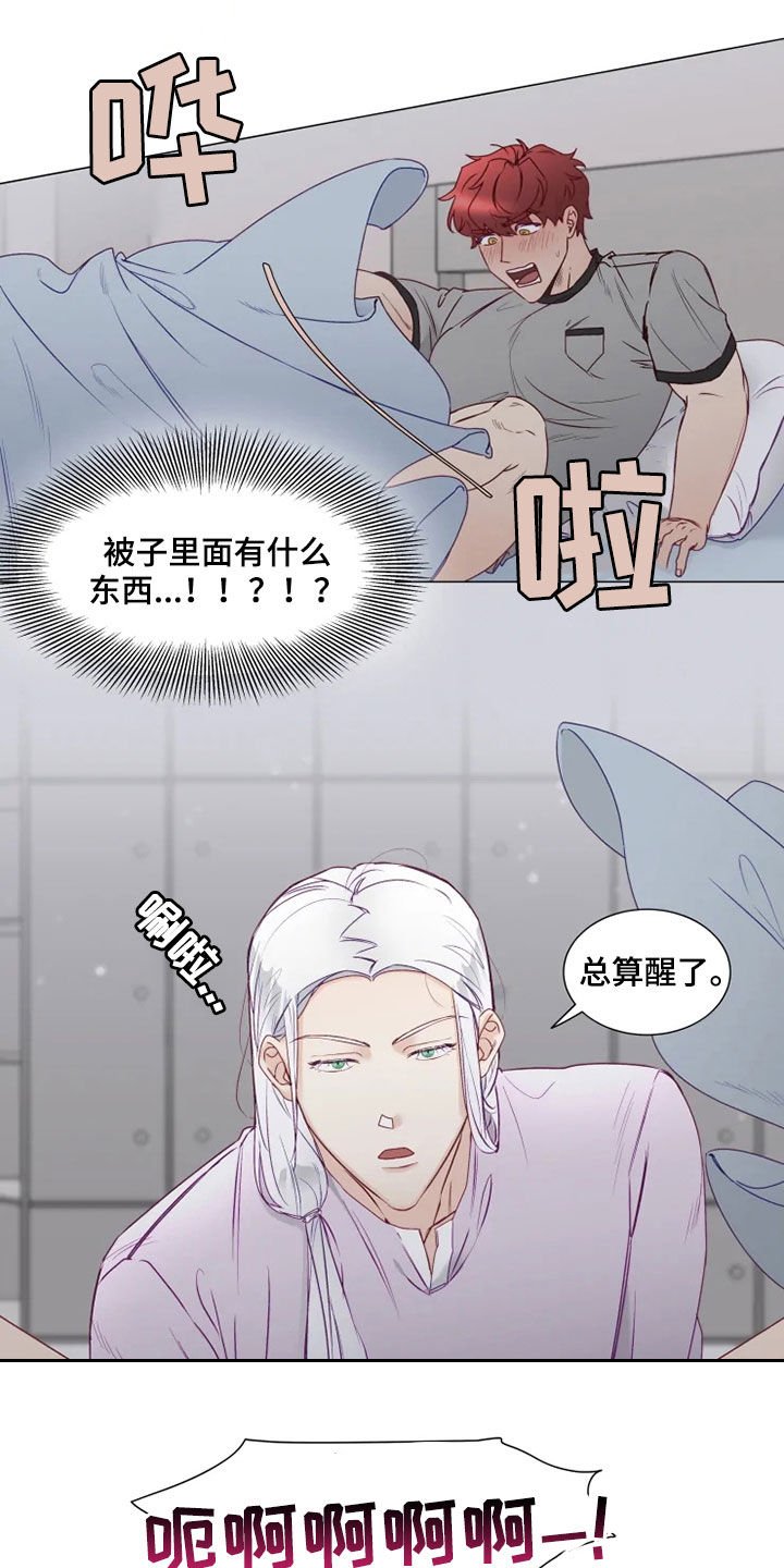 第17章：梦中惊醒