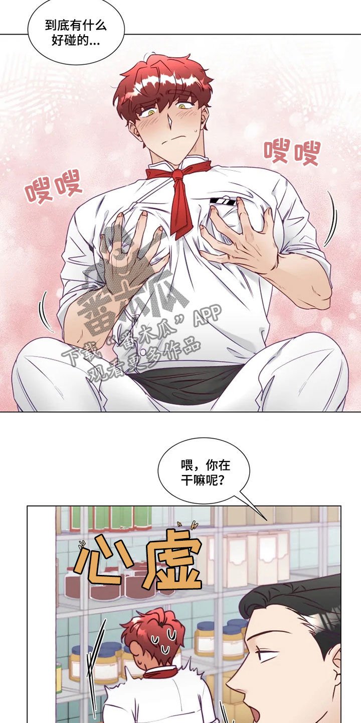第19章：找茬