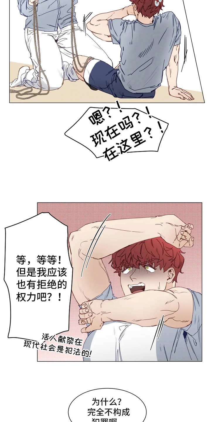 第2章：人类文化