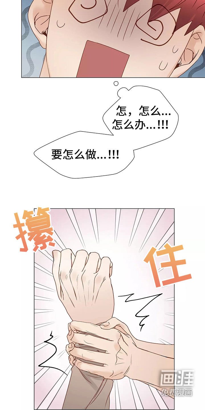 第42章：回家