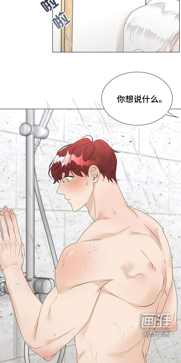 第44章：意见