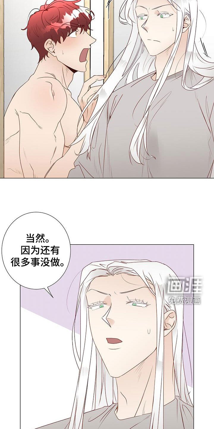 第44章：意见