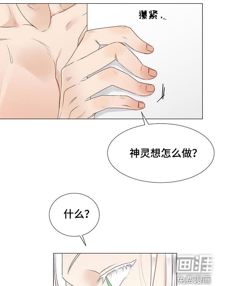 第44章：意见