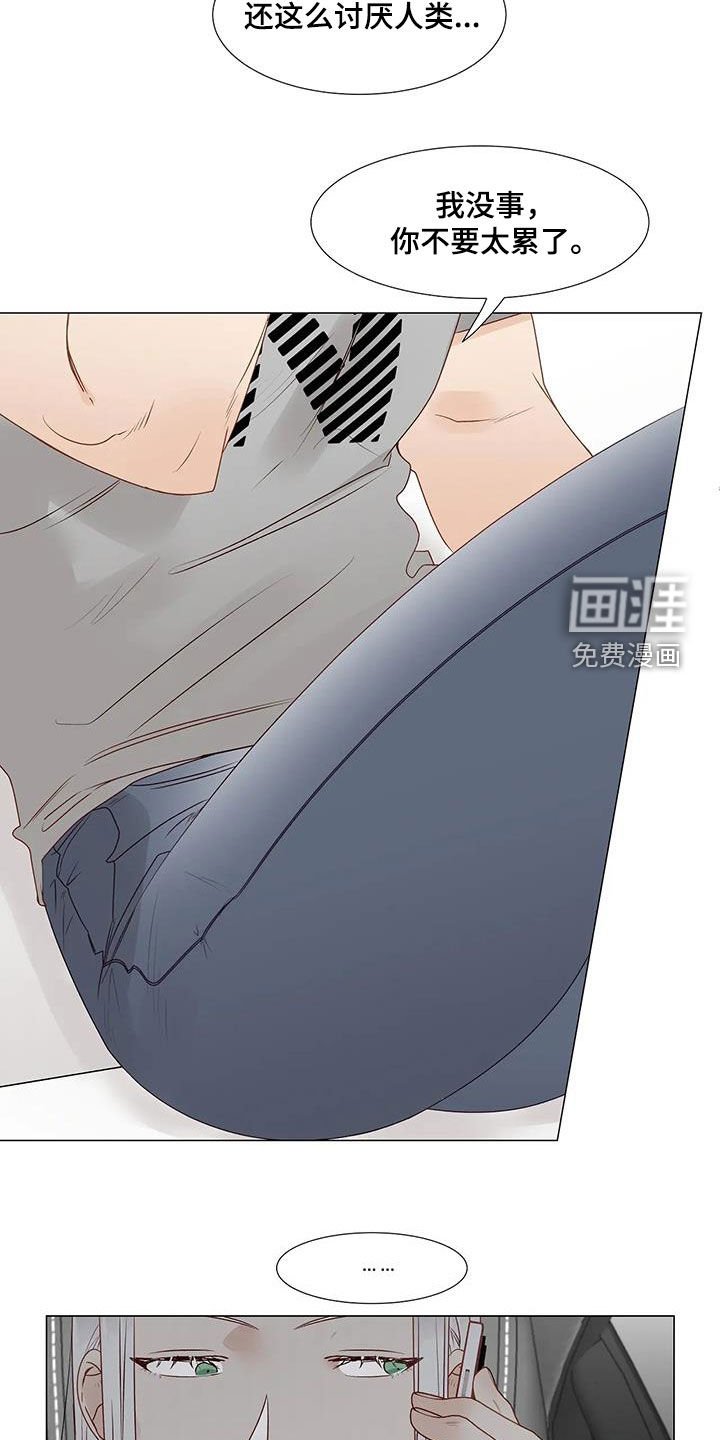 第51章：我回来了（完结）