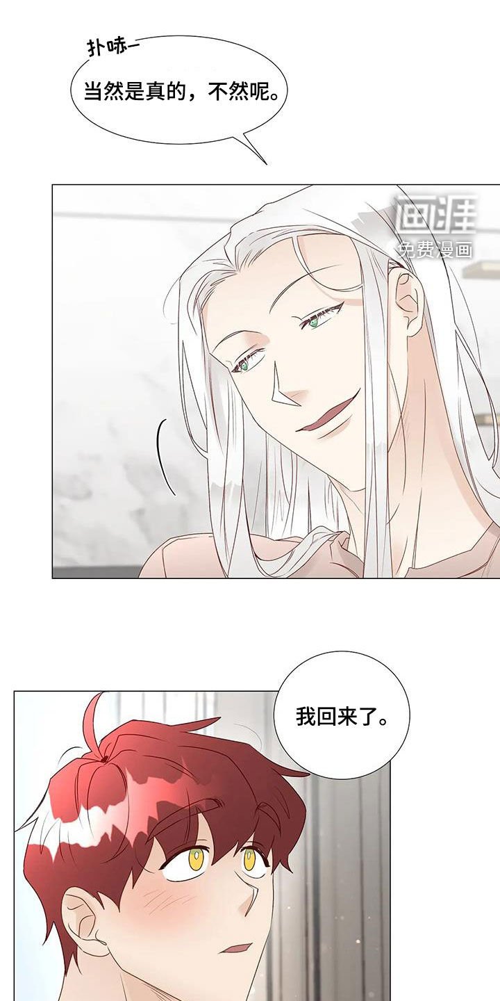 第51章：我回来了（完结）