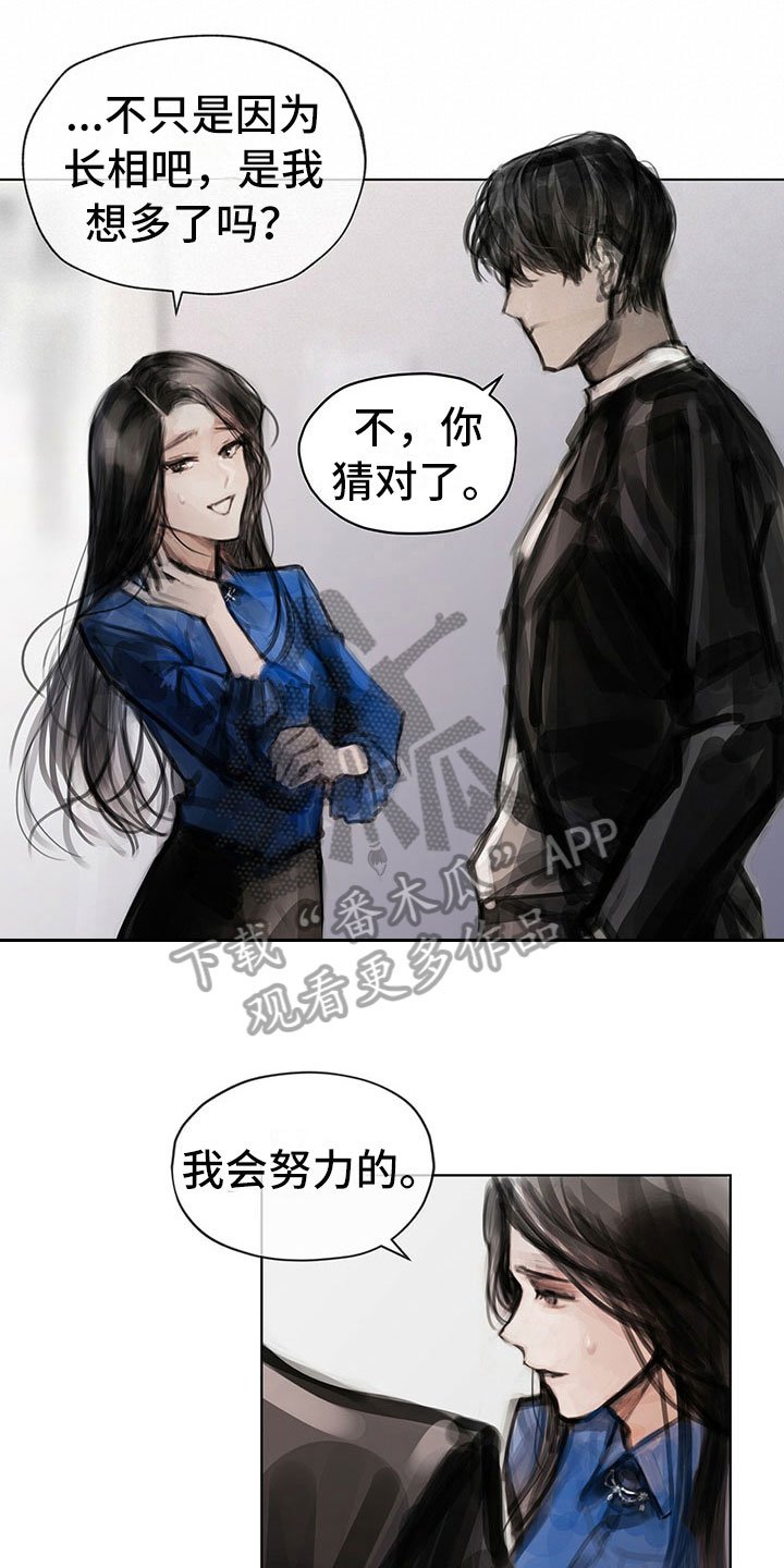 第13章：选择