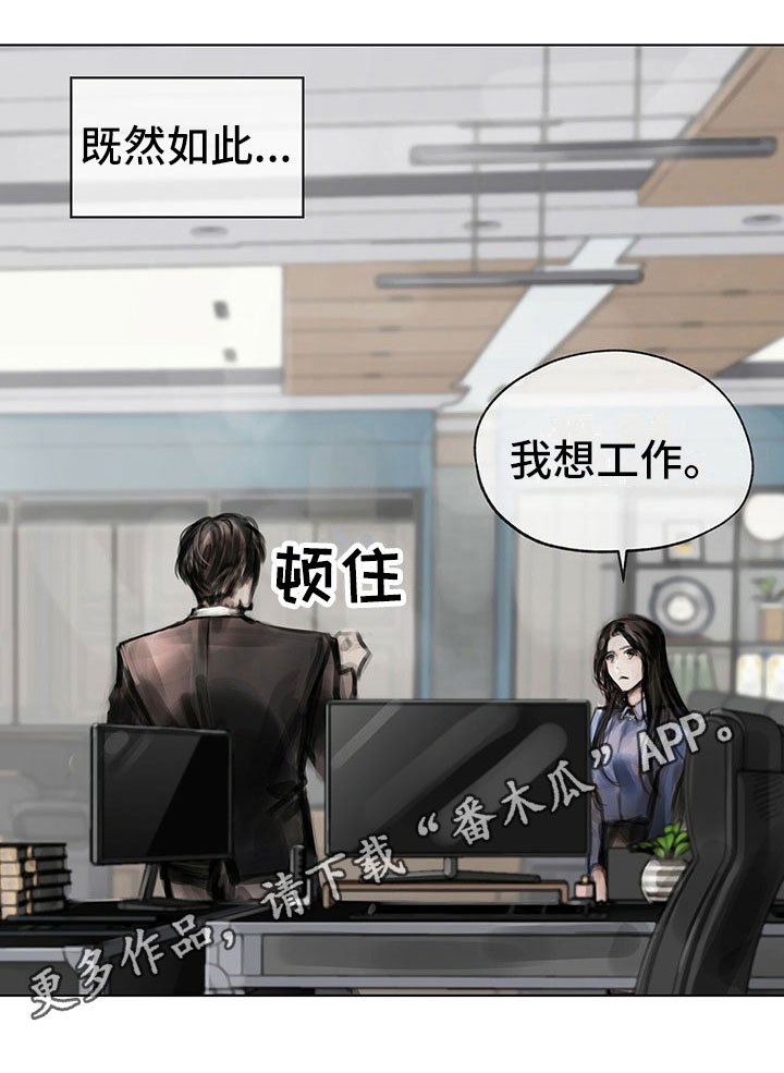 第13章：选择
