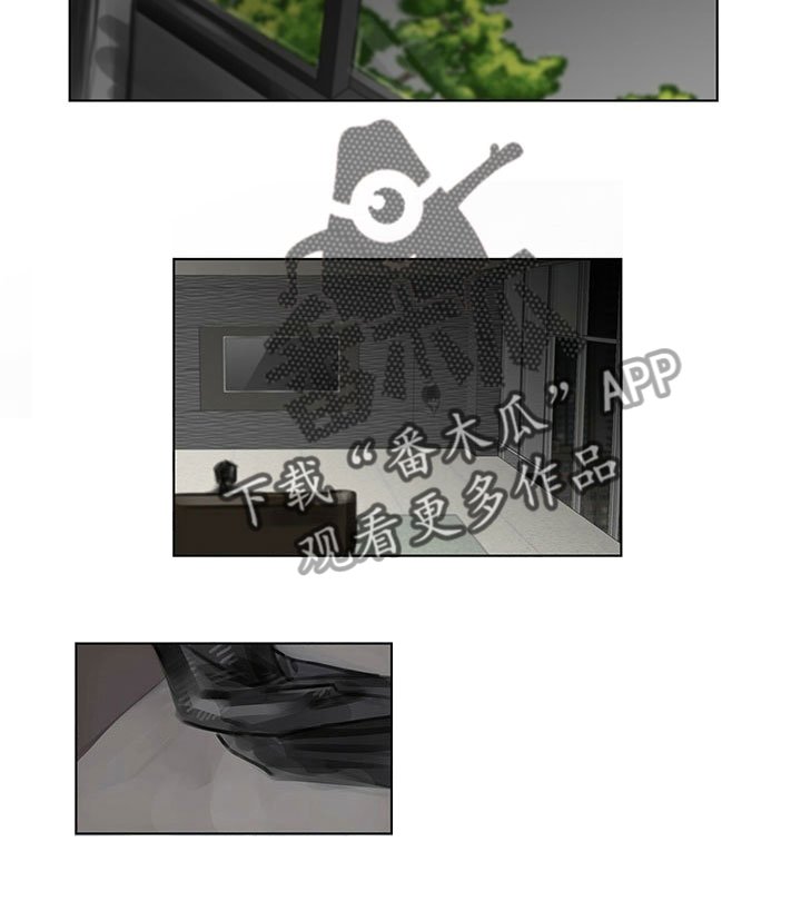 第22章：道歉电话