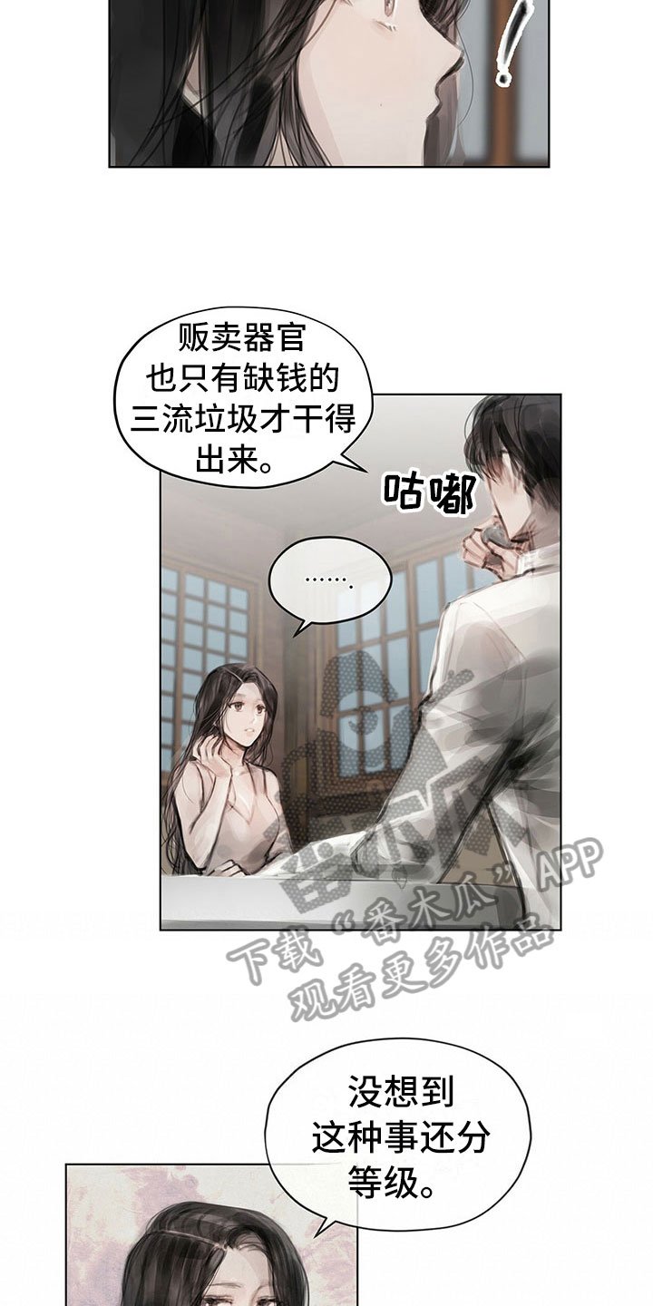 第28章：挡雨