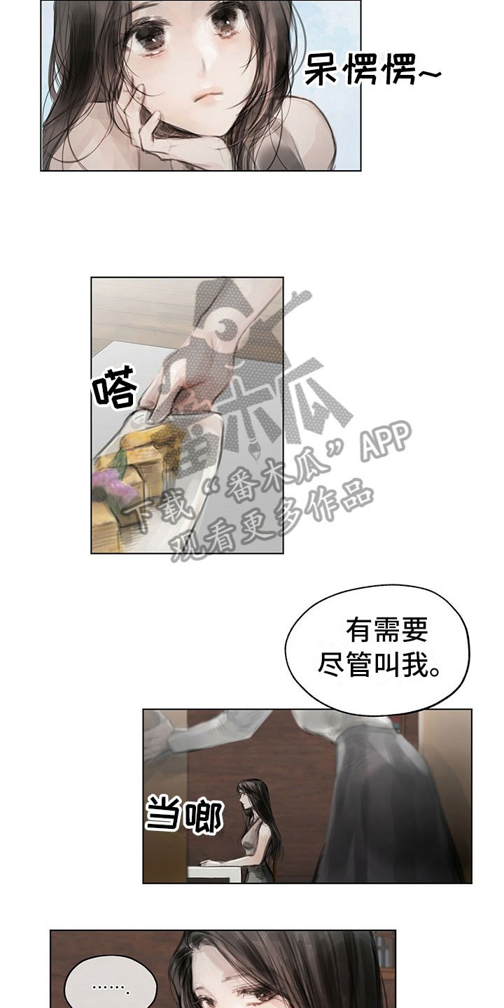 第29章：柔和