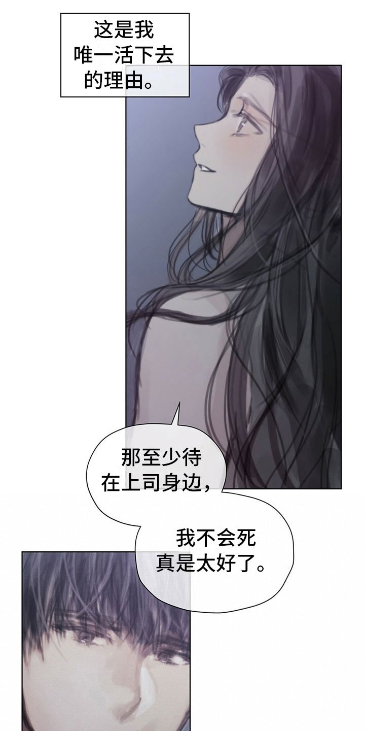 第34章：真心话