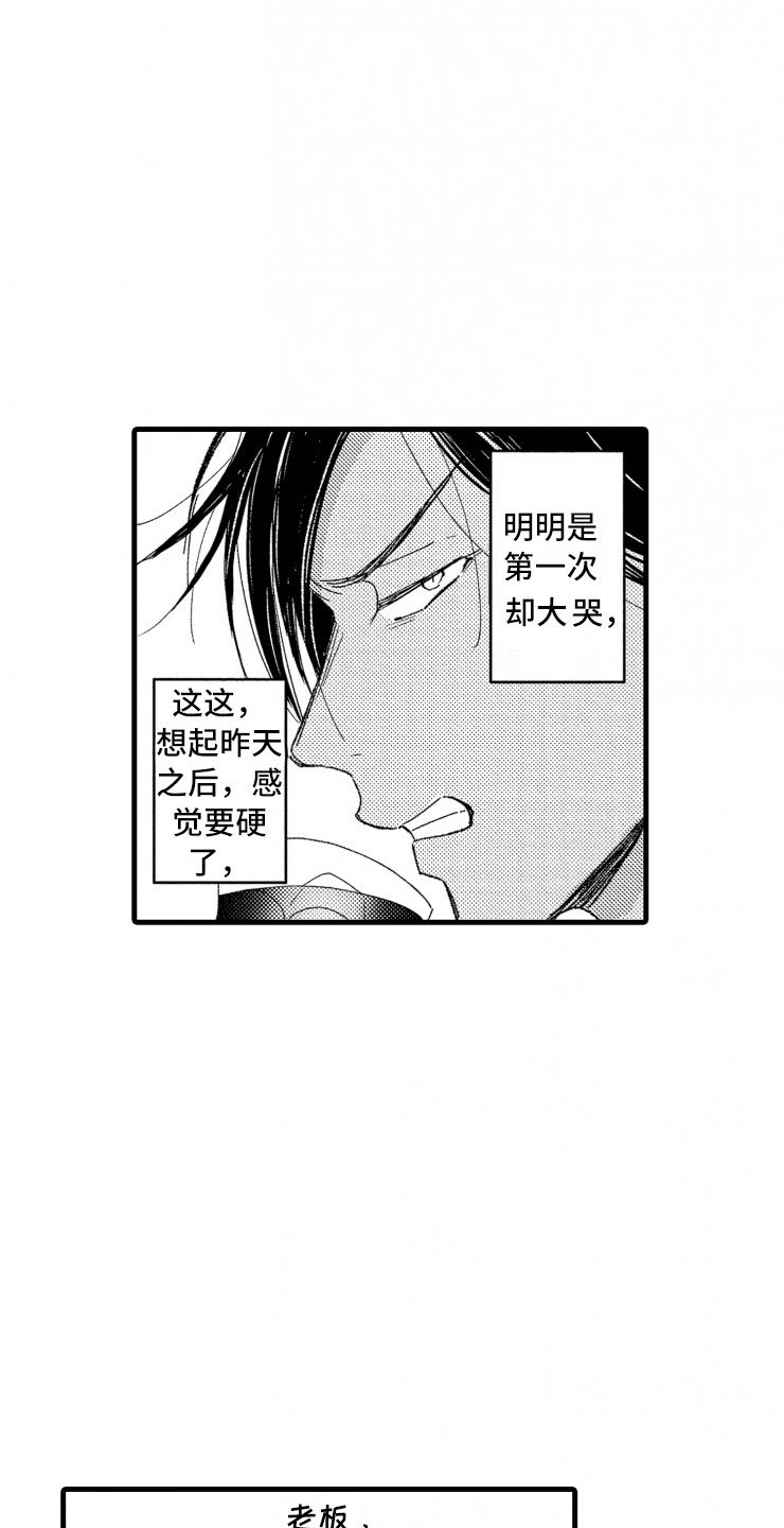 第10章：天衣无缝
