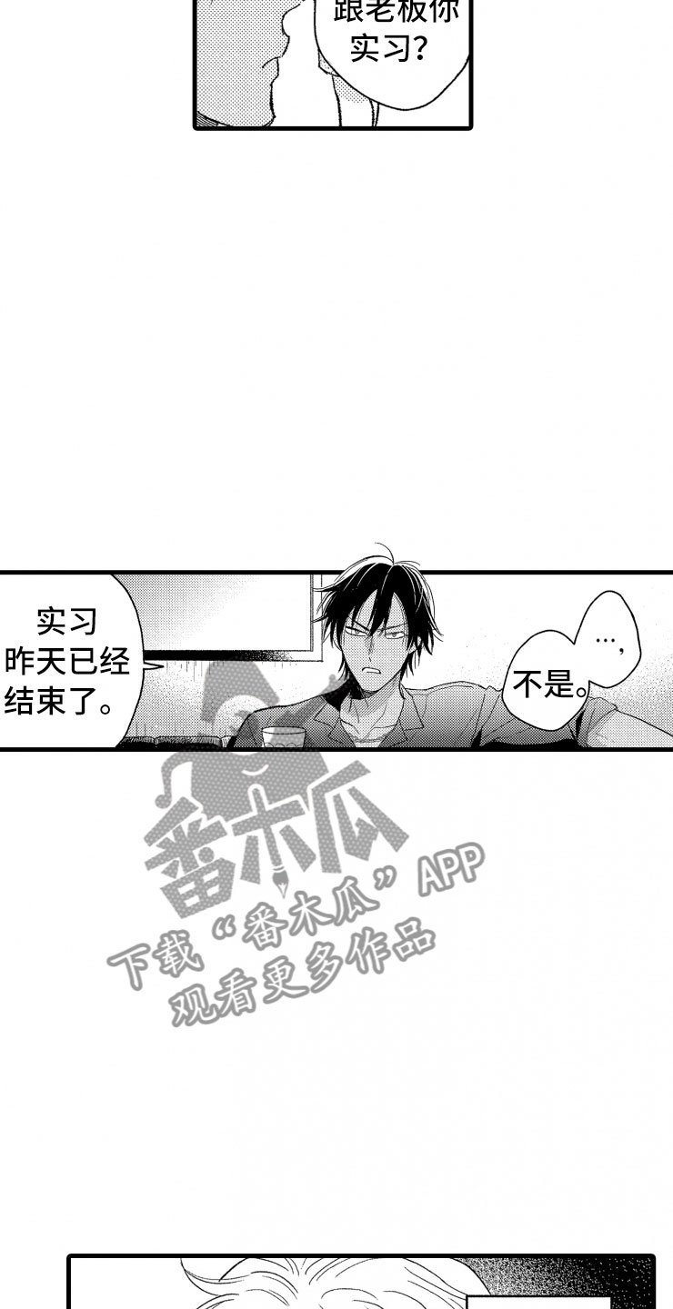 第11章：决心