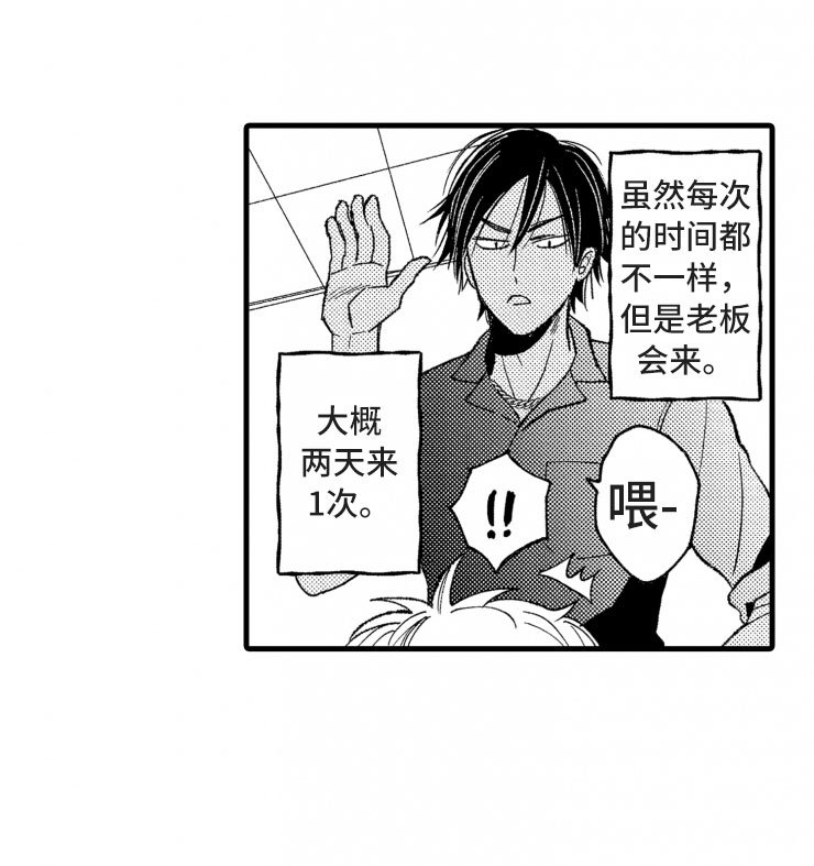 第13章：客人
