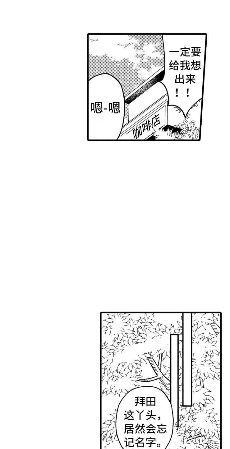第15章：当场捕获