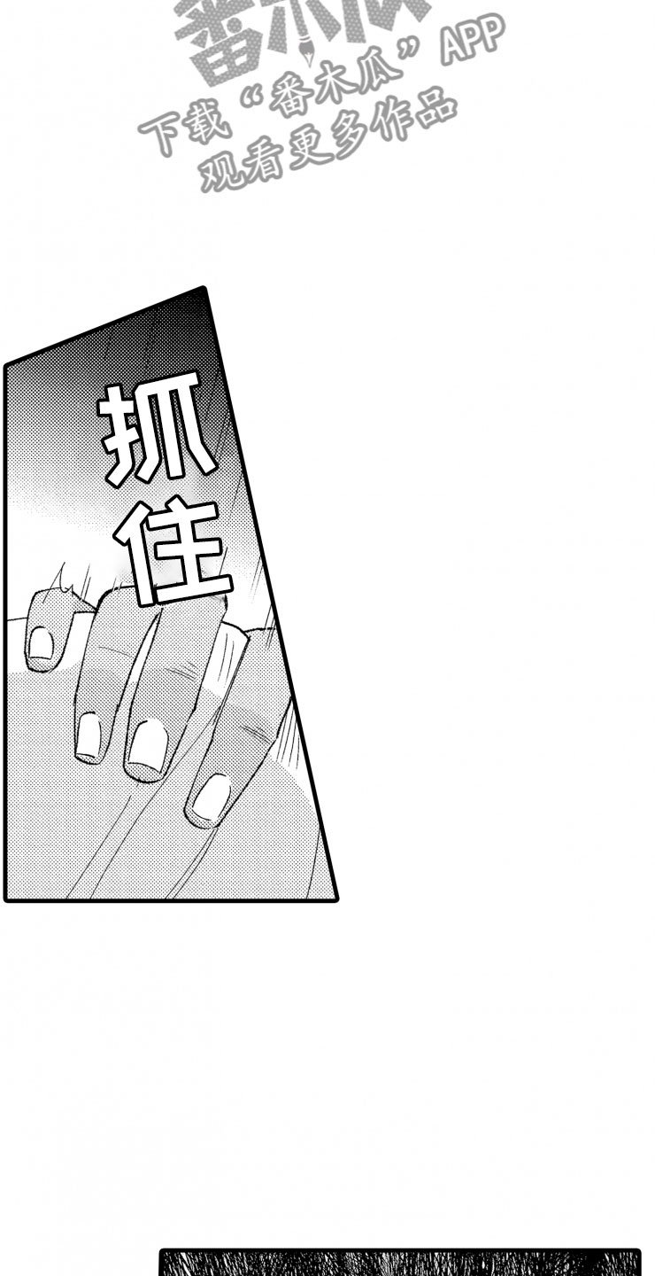 第15章：当场捕获