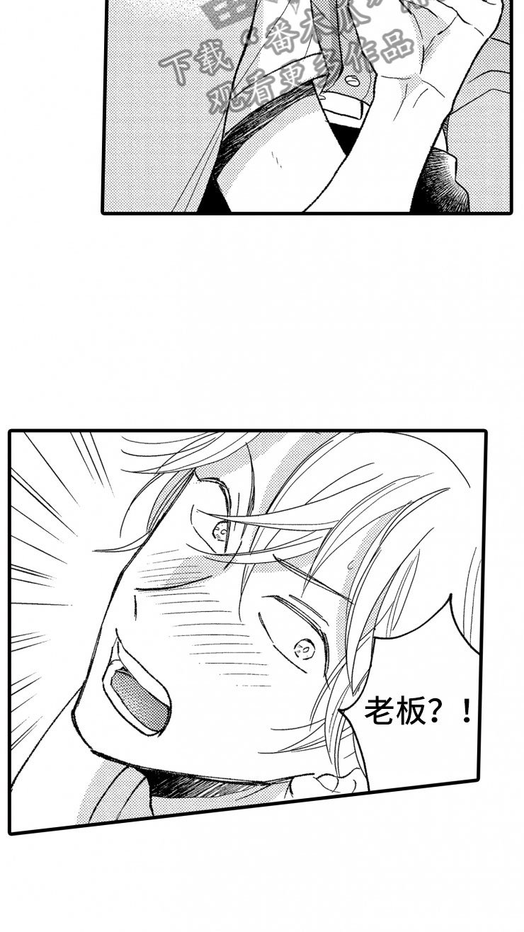 第15章：当场捕获