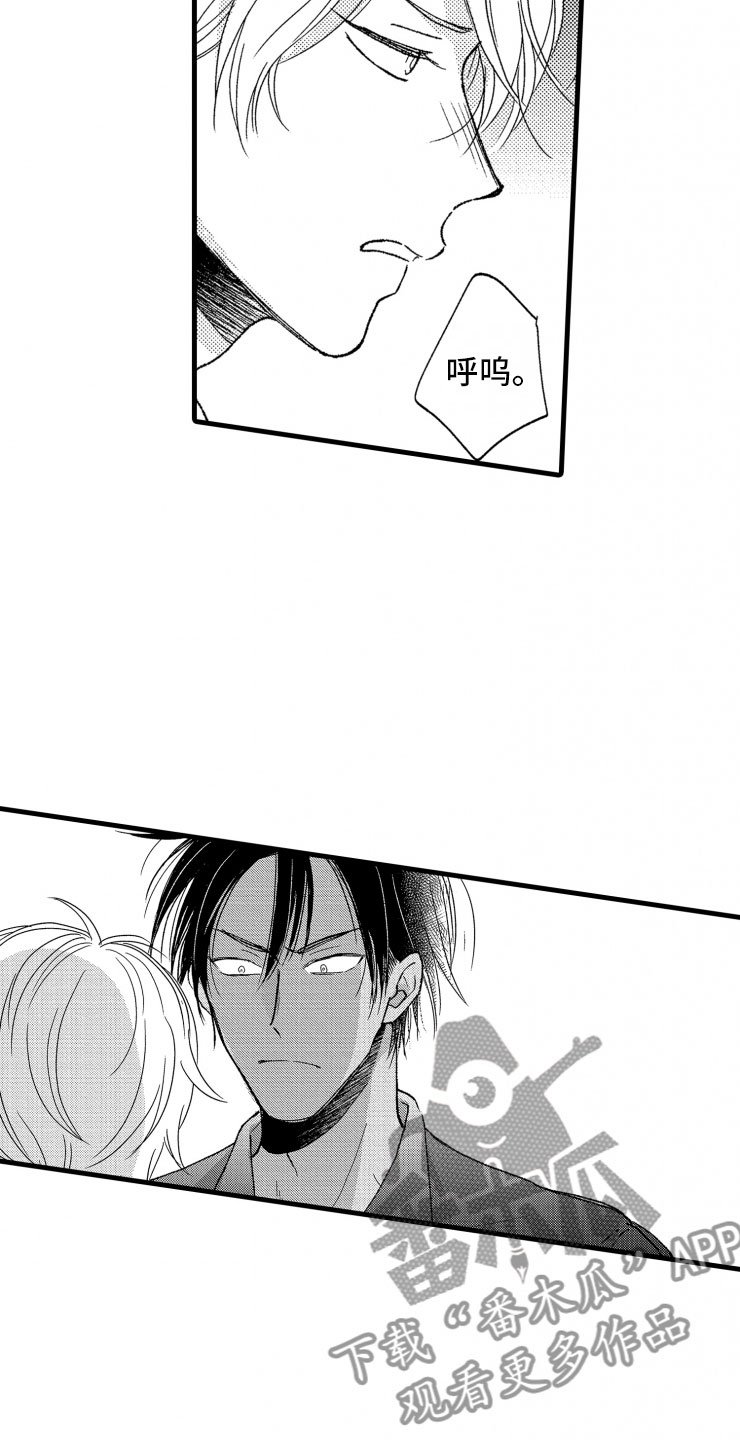 第17章：喜欢的类型