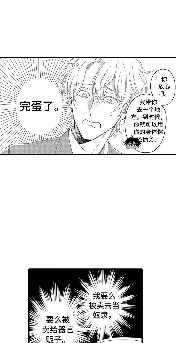 第2章：还债手段